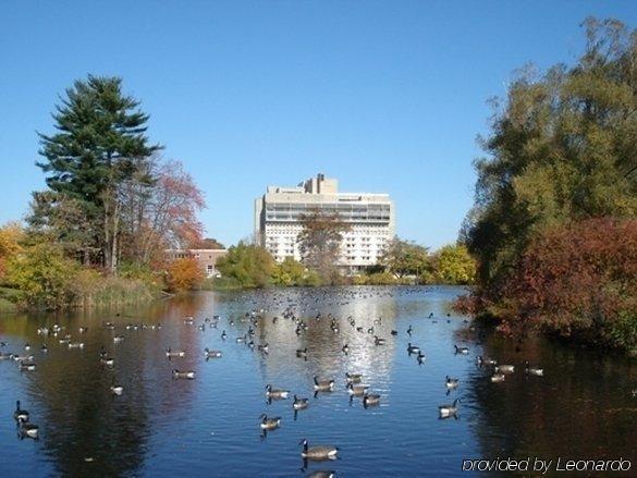 אמהרסט Hotel Umass מתקנים תמונה